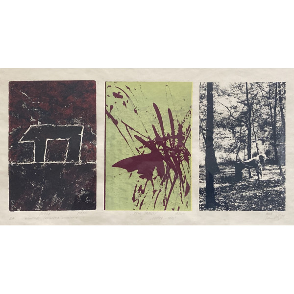 Zviera - Zem IV.